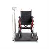 Buy Seca Electronic Portable Wheelchair Scale