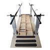 Power Platform Bariatric Parallel Bar With Foot Placement Ladder