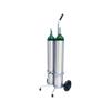 Responsive Respiratory Dual D And E Cylinder Cart