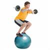 Togu ABS Exercise ball for Heavy Duty Use