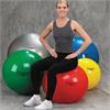 TheraBand Inflatable Pro Series SCP Exercise Balls