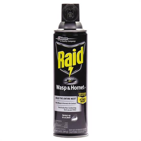 Buy Raid Wasp & Hornet Killer