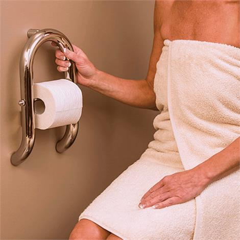 toilet roll holder grab bar
