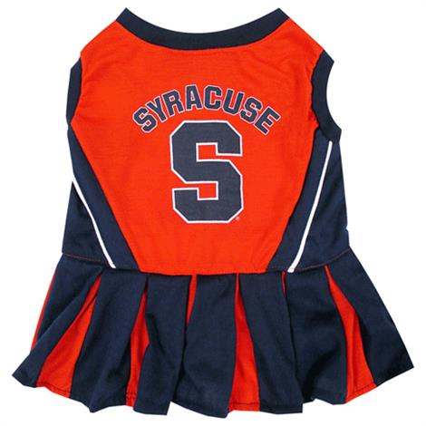 syracuse puppies pets syracuse orange dress pet care syracuse puppies pets syracuse orange dress pet care