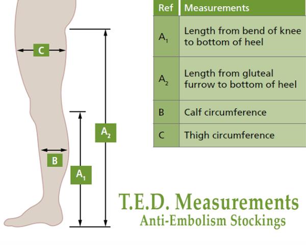 Ted Anti Embolism Size Chart