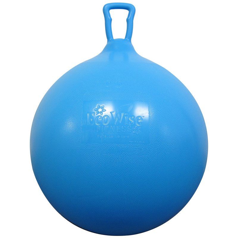 Ecowise Hop Ball by AGM GROUP Health Products For You